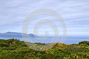 Springtime landscape in the Atlantic coastline of Galicia