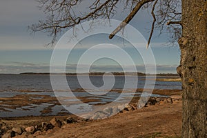 Springtime landscape at the Burtnieku lake in Latvia