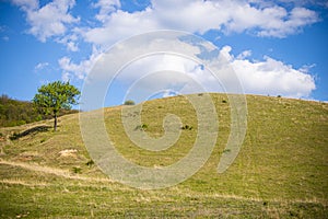 Springtime landscape  in coudy day  ,view from the hill