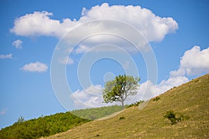 Springtime landscape  in coudy day  ,view from the hill