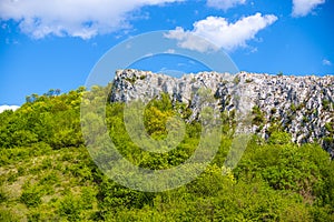 Springtime landscape  in coudy day  ,view from the hill