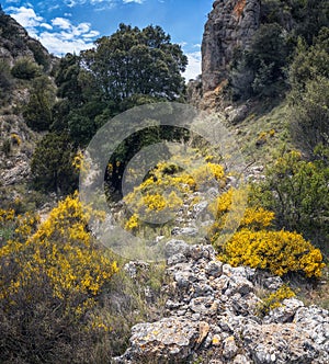Springtime Landscape in Montsant Natural Park, Catalonia