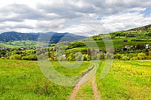 Springtime landscape