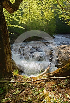 Springtime landscape of mountain river with small waterfall over rocks