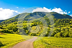 Springtime landscape on Plesivica hills