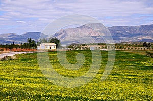 Springtime landscape, Puertecico, Spain. photo
