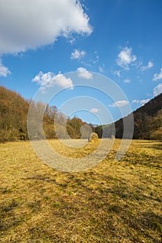 Springtime landscape  in sunny day  ,view from the hill