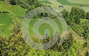 Springtime landscape in the Swiss canton of Nidwalden