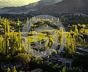 Springtime in Leh, Ladakh photo