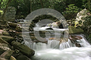 Springtime Mountain Stream