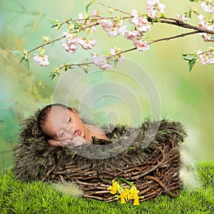 Springtime newborn baby