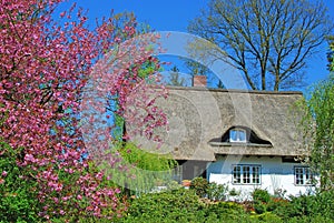 Springtime in Northern Germany