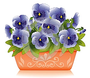 Springtime Pansies photo