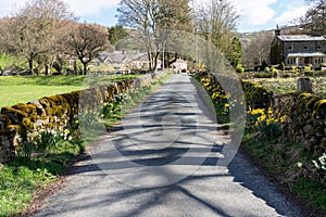 Springtime on a Quiet Village Road.