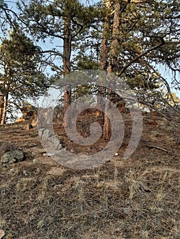 springtime Rockin VC trail Curt Gowdy State Park Cheyenne, Wyoming