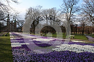 Springtime in Rosenborg Castle - Copenhagen