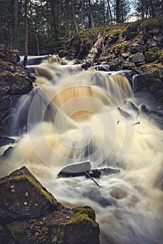 Springtime running water in forest