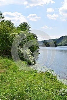 spring landscape at the Mosel with an island photo