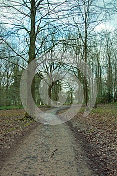 Springtime scenery in the English countryside of the Forest of Dean.