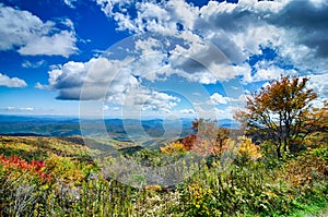 Springtime at Scenic Blue Ridge Parkway Appalachians Smoky Mount