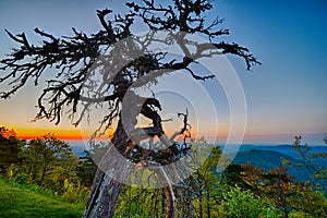 Springtime at Scenic Blue Ridge Parkway Appalachians Smoky Mount