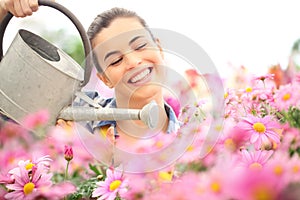 Springtime, smiling woman in garden watering daisies
