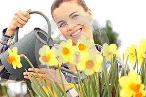Springtime, smiling woman in garden watering flowers