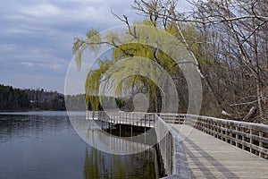 A Springtime Stroll: Kelso Lake Boardwalk (#2)