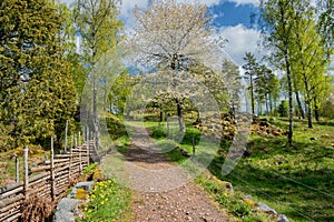 Springtime in Sweden