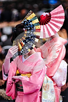 Springtime in Ueno Park, Japan