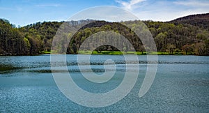 Springtime View of Abbott Lake