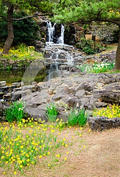 Springtime view at Hallim Park of Jeju island