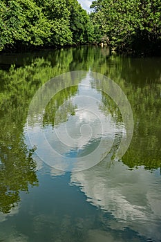 Springtime View of the Roanoke River