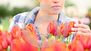 Springtime, woman in garden touches and smells tulips