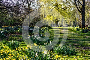 Springtime in Worden Park, Leyland, UK