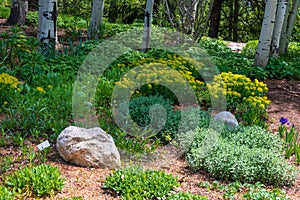 Springtime in Yampa River Botanical Gardens