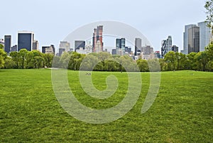 SpringView Sheep Meadow