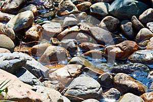 Springwater flow on the small pebbles on a sunny day with bright reflections