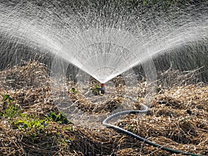 Sprinker irrigation system spraying water on field