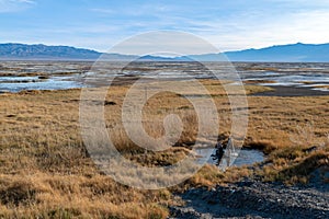 A sprinker rehydrates part of Owens Lake in California, USA