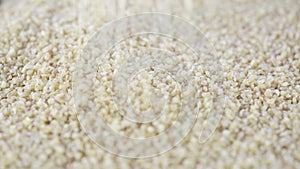 Sprinkle of Bulgur Grain