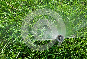 Sprinkler of automatic watering