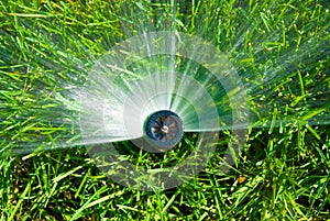 Sprinkler of automatic watering