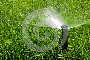 Sprinkler of automatic watering