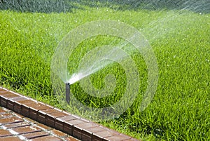 Sprinkler of automatic watering