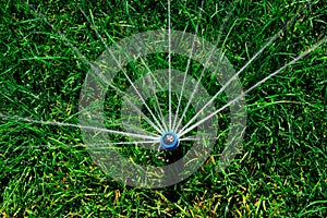 Automatic lawn sprinkler watering green grass