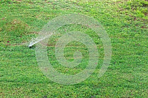 Sprinkler in garden watering the lawn. Automatic watering lawns concept