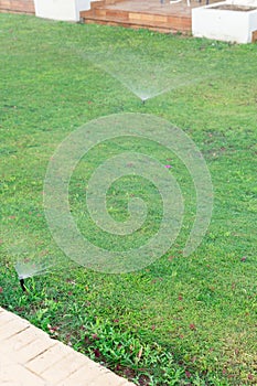 Sprinkler in garden watering the lawn. Automatic watering lawns concept