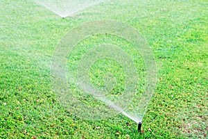 Sprinkler in garden watering the lawn. Automatic watering lawns concept