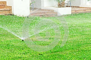 Sprinkler in garden watering the lawn. Automatic watering lawns concept